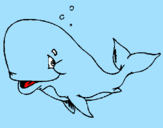 Desenho Baleia envergonhada pintado por enzo