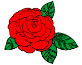 Desenho Rosa pintado por ramonzinho