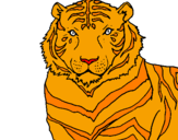 Desenho Tigre pintado por marco antonio