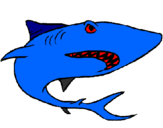 Desenho Tubarão pintado por henrik