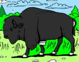 Desenho Búfalo pintado por joão victor guarujá sp