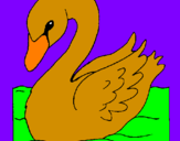 Desenho Cisne pintado por leylane 