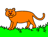 Desenho Panthera  pintado por caio