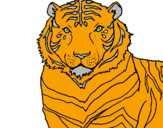 Desenho Tigre pintado por frajola