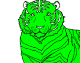 Desenho Tigre pintado por gabriel herique