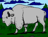 Desenho Búfalo pintado por nayhara