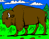 Desenho Búfalo pintado por FELIPE CABRAL