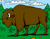 Desenho Búfalo pintado por joao manoel
