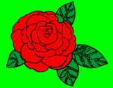Desenho Rosa pintado por flor do jardim