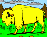 Desenho Búfalo pintado por leylane 