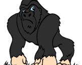 Desenho Gorila pintado por leonardo