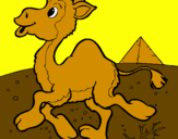 Desenho Camelo pintado por  camaleuzinho
