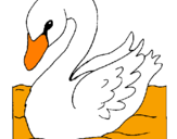 Desenho Cisne pintado por JULIA