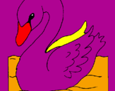 Desenho Cisne pintado por vivi