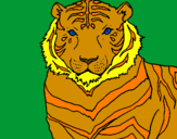 Desenho Tigre pintado por barbara e raissa