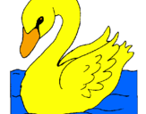 Desenho Cisne pintado por henrik
