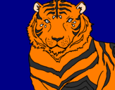 Desenho Tigre pintado por Sansão