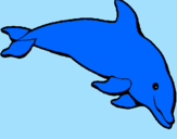 Desenho Golfinho contente pintado por ana