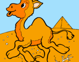 Desenho Camelo pintado por daniela de carli.
