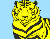 Desenho Tigre pintado por gabriel de souza miele