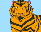 Desenho Tigre pintado por barbara