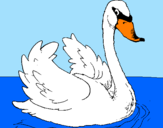 Desenho Cisne na água pintado por iris cristiano