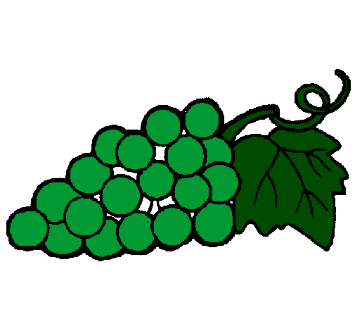 Desenho Uvas pintado por verde matureza