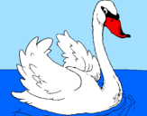 Desenho Cisne na água pintado por josé victor