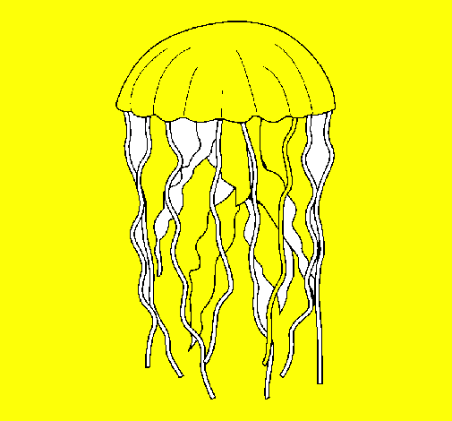 Desenho Medusa pintado por atun 007