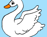 Desenho Cisne pintado por josé victor