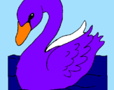 Desenho Cisne pintado por justin Viado Bieber 