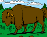 Desenho Búfalo pintado por Eluana