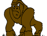 Desenho Gorila pintado por urso     pardo thiago