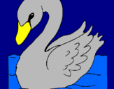 Desenho Cisne pintado por wesley
