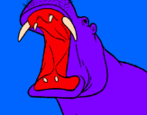 Desenho Hipopótamo com a boca aberta pintado por mateus