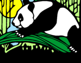 Desenho Urso panda a comer pintado por lucas