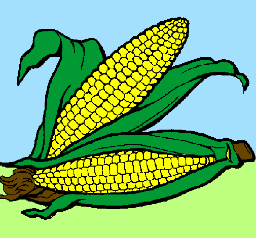 Desenho Espiga de milho  pintado por Dudynha