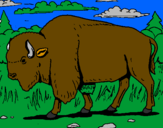 Desenho Búfalo pintado por bizao