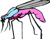 Desenho Mosquito pintado por Helena cristina