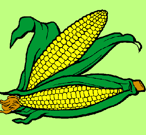 Desenho Espiga de milho  pintado por victor