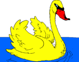 Desenho Cisne na água pintado por GABRIEL