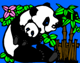 Desenho Mamã panda pintado por  esqueleto 006