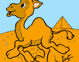 Desenho Camelo pintado por RAFAE L