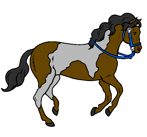 Desenho Cavalo 5 pintado por Spirit