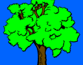 Desenho Árvore pintado por marcus gabhriel