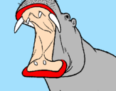 Desenho Hipopótamo com a boca aberta pintado por gustavo 