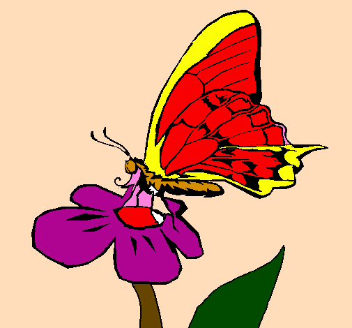 Desenho Borboleta em flor pintado por Jasmyne