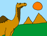 Desenho Camelo pintado por carlos v.