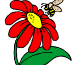 Desenho Margarida com abelha pintado por flores