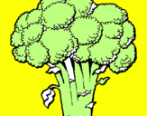 Desenho Brócolos pintado por paloma